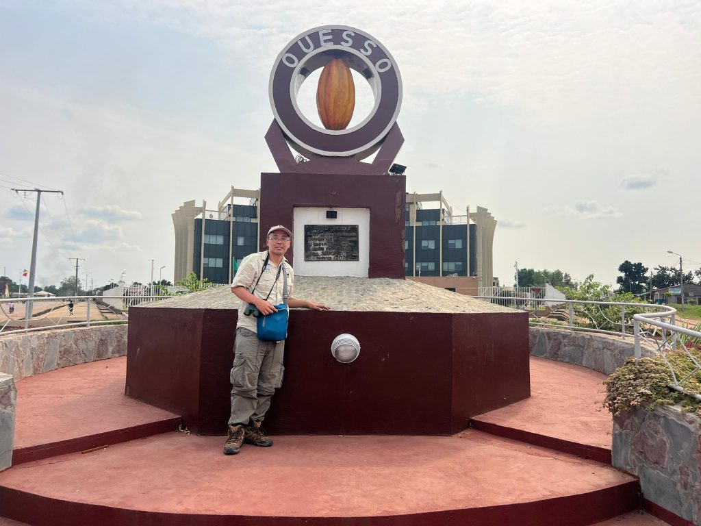 Western Lowland gorilla trekking in Congo Brazzaville