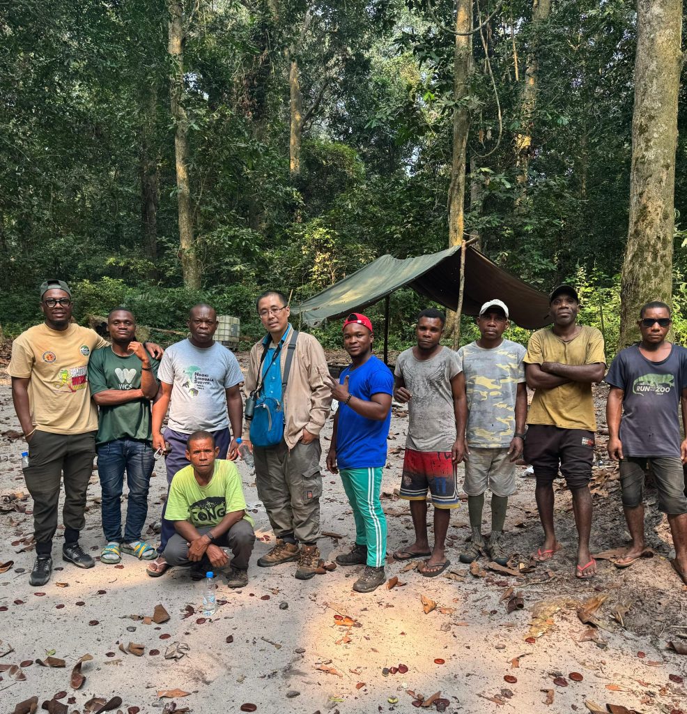 Mondika Gorilla reasearch Site in Congo Brazzaville (非境臻行)