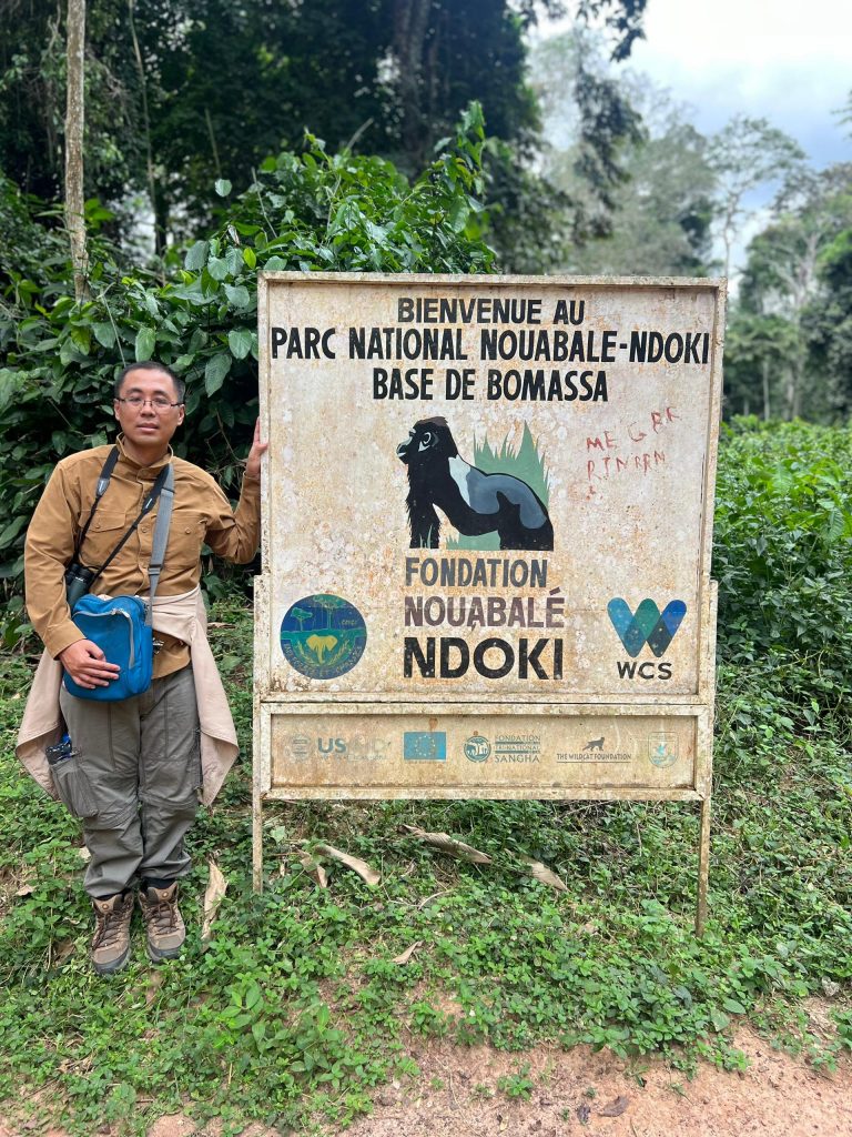 Nouabale Ndoki National Park, trekking Western Lowland Gorillas, Congo Brazzaville