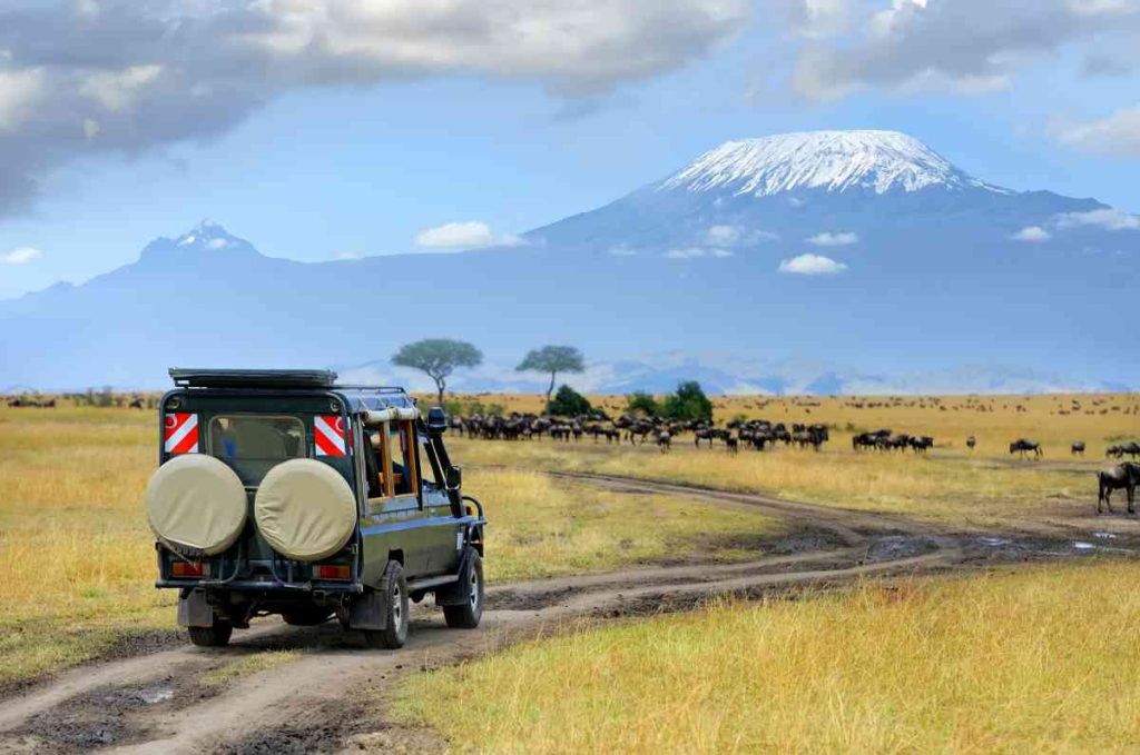 Tanzania Wildlife and Beach Safari, Kenya Safaris with 非境臻行