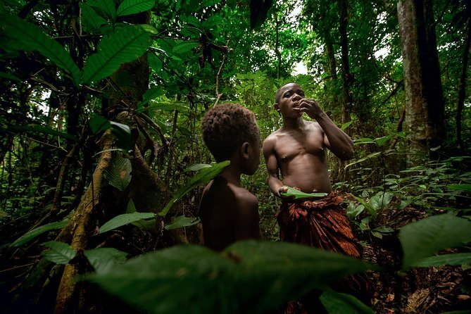 Right in the forest with Baka pygmies in Cameroon