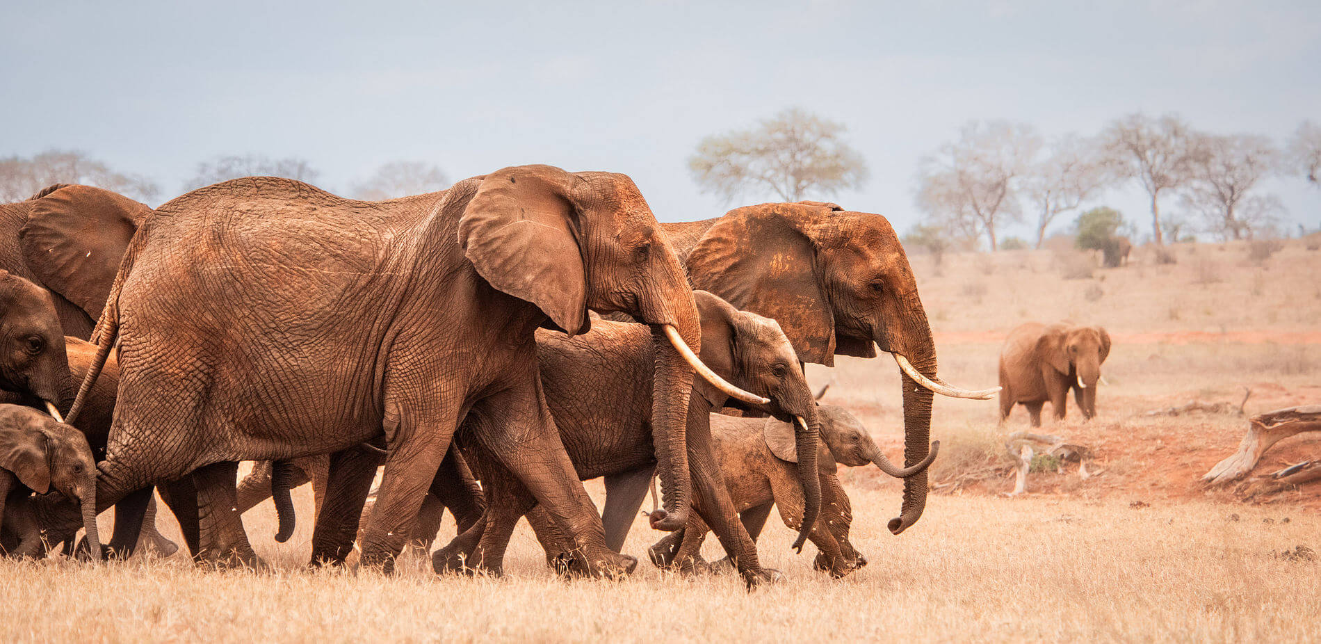 2 days Nairobi City Tour & National Park Safari – Wildlife & Culture 非境臻行