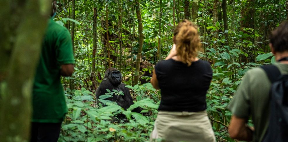 Gabon Tours & Travel with 非境臻行