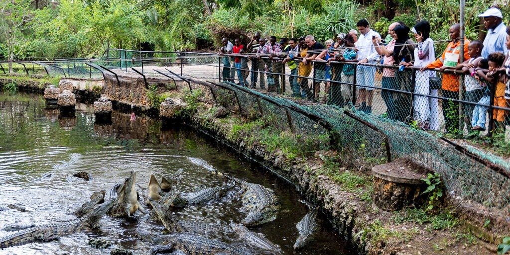 Haller Park, Kenya Safaris with 非境臻行