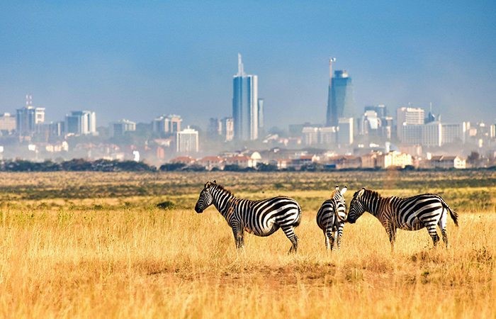 7-day Best of Kenya Adventure Safari