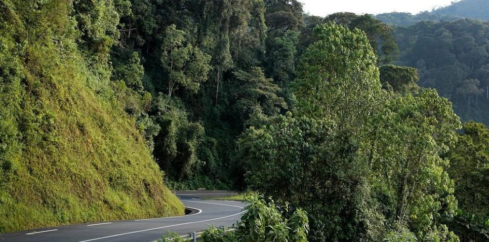 Rwanda Safaris with非境臻行Road trip from Kigali to Gisenyi