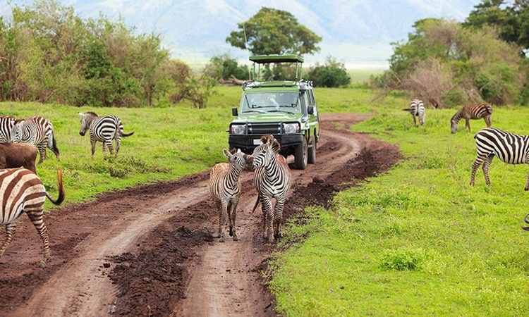 Kenya Vacation packages with 非境臻行, Tanzania Safaris with 非境臻行